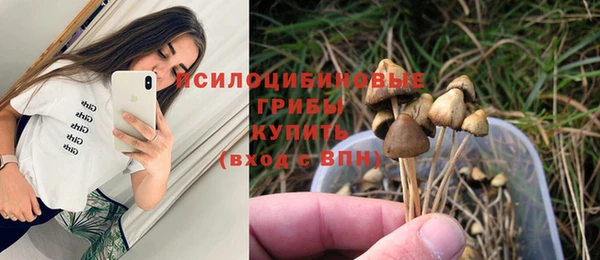 марки nbome Аркадак